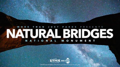 National Bridges National Monument | More Than Just Parks