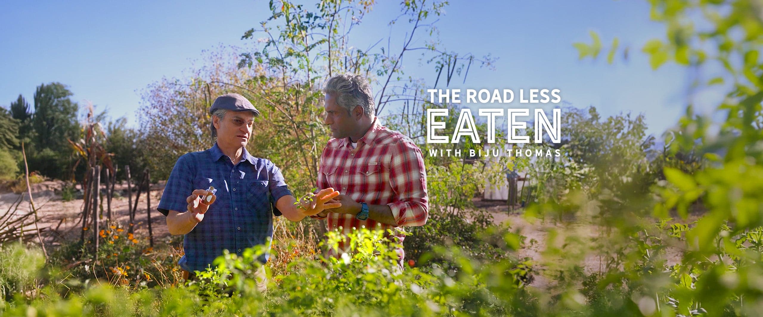 The Road Less Eaten Arizona