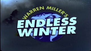 Endless Winter film poster
