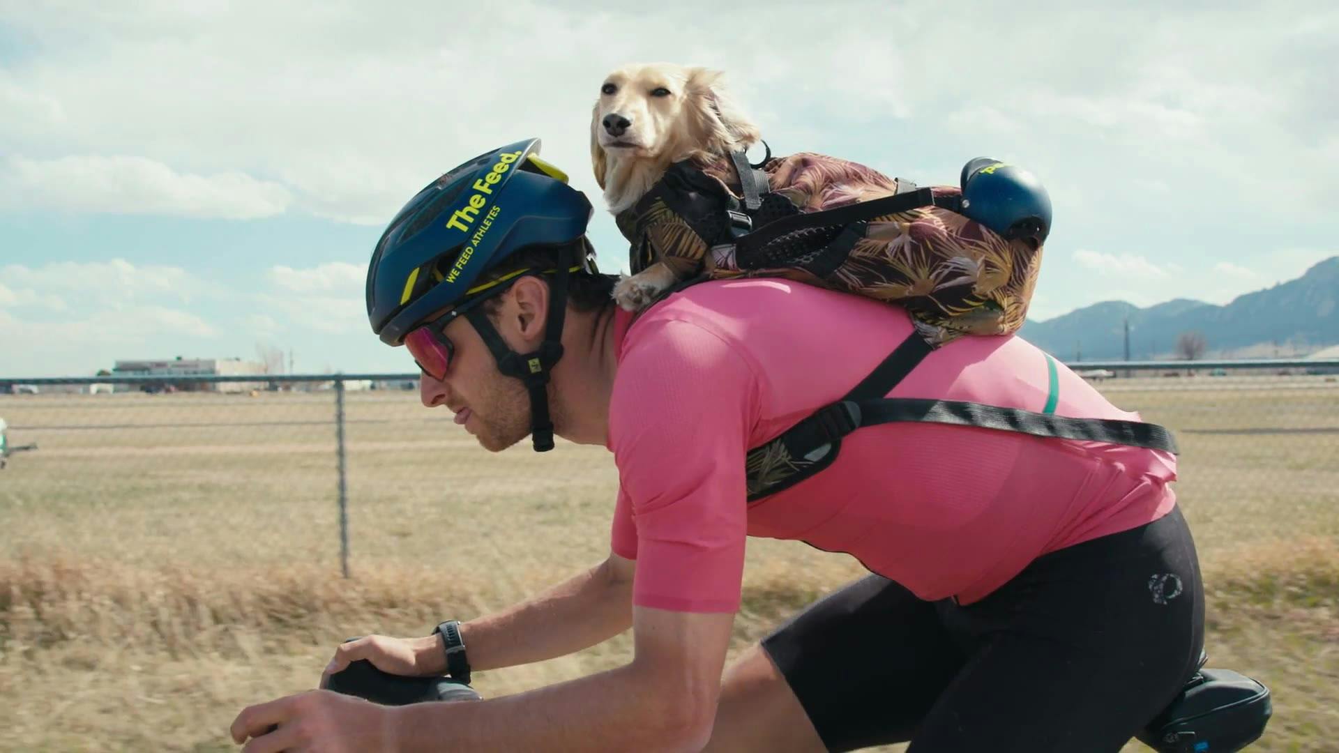 PEARL iZUMi Legends of Cycling: Sir Willie the Wiener Dog