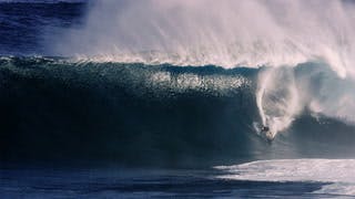 High Surf Warning | Dispatches