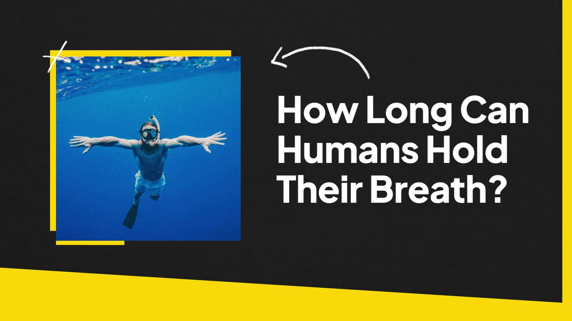 OOL-46 | How Long Can Humans Hold Their Breath?