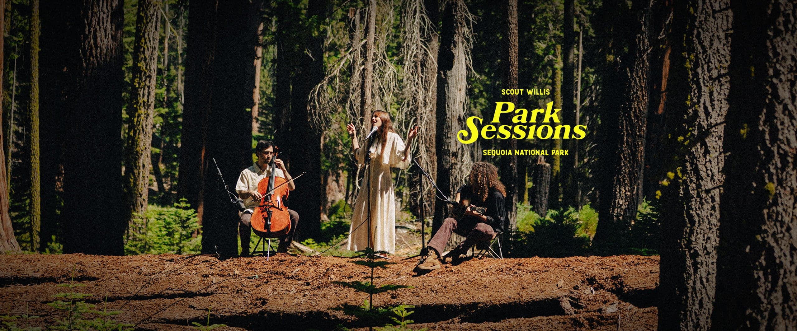 Scout Willis Park Sessions